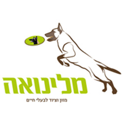לוגו לקוח